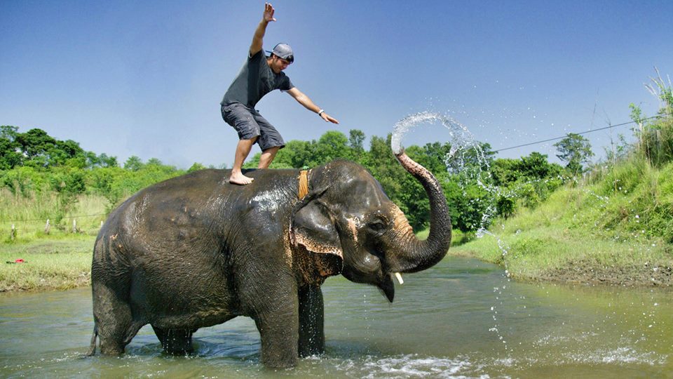 Elephant safari in Chitwan1687257025.jpeg